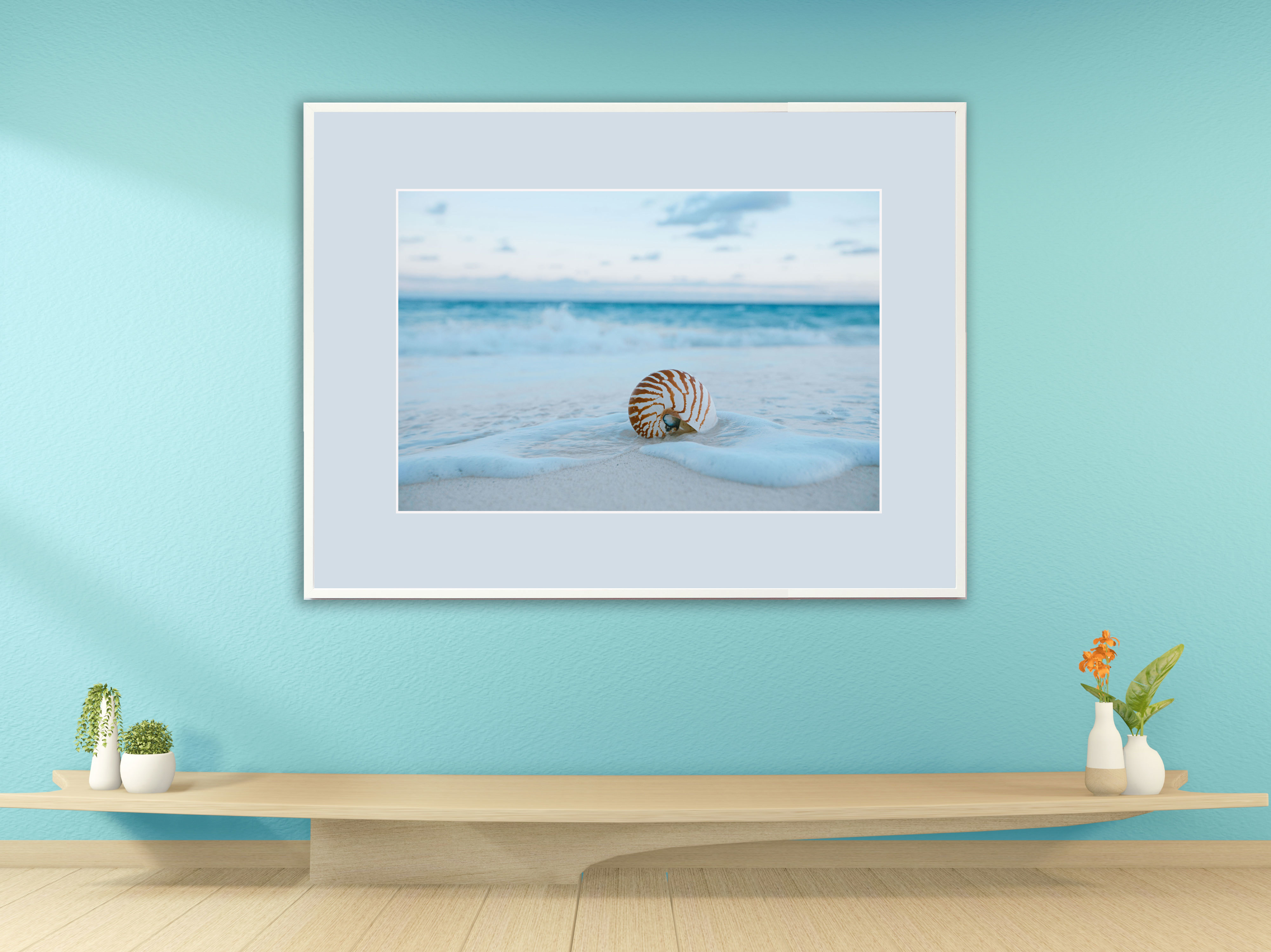 Muschel am traumhaften Karibikstrand