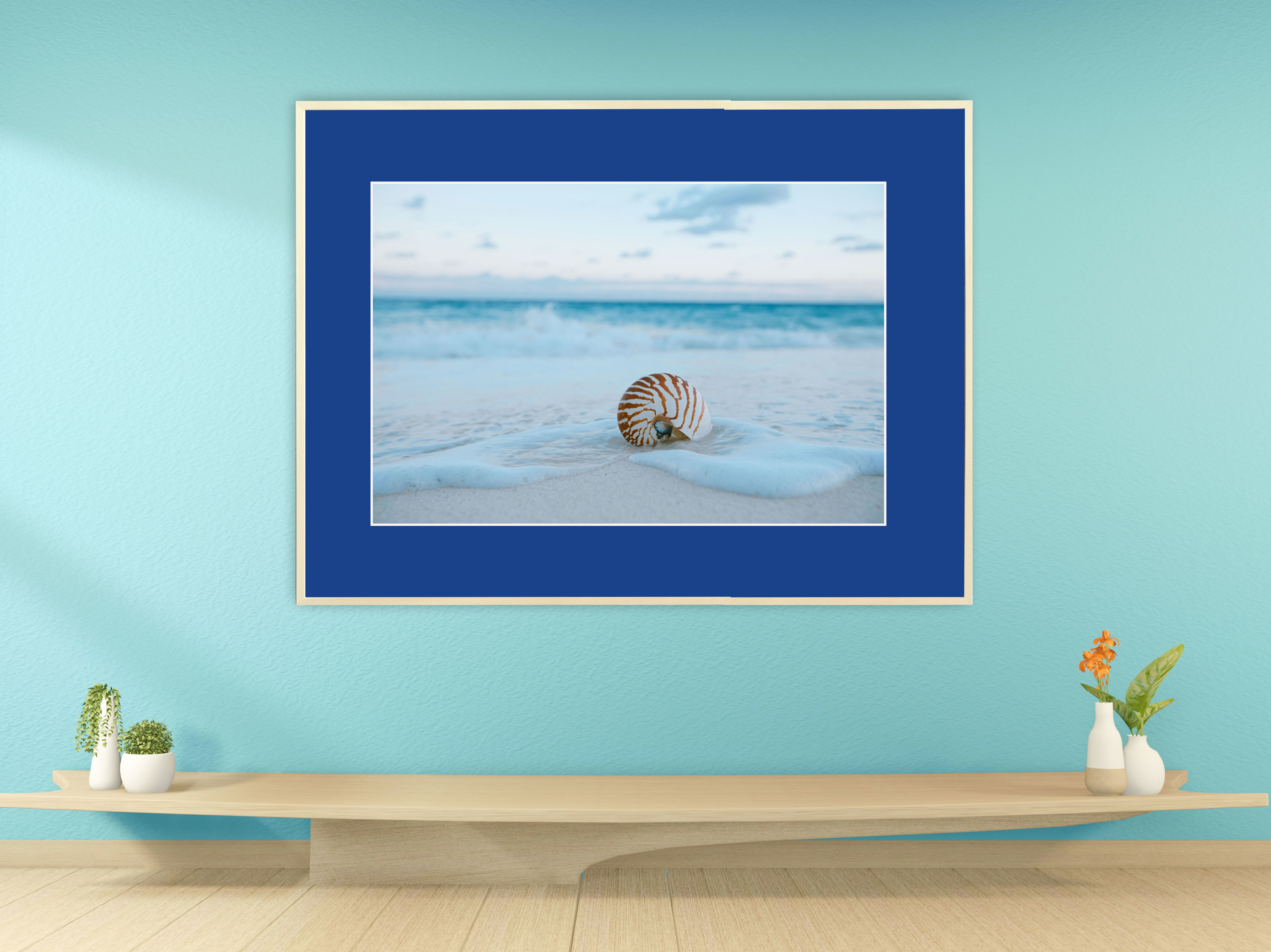 Muschel am traumhaften Karibikstrand