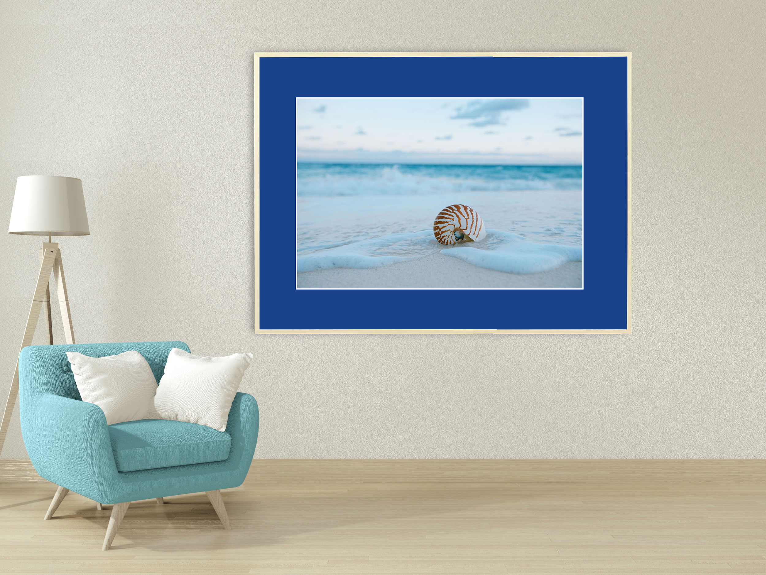 Muschel am traumhaften Karibikstrand