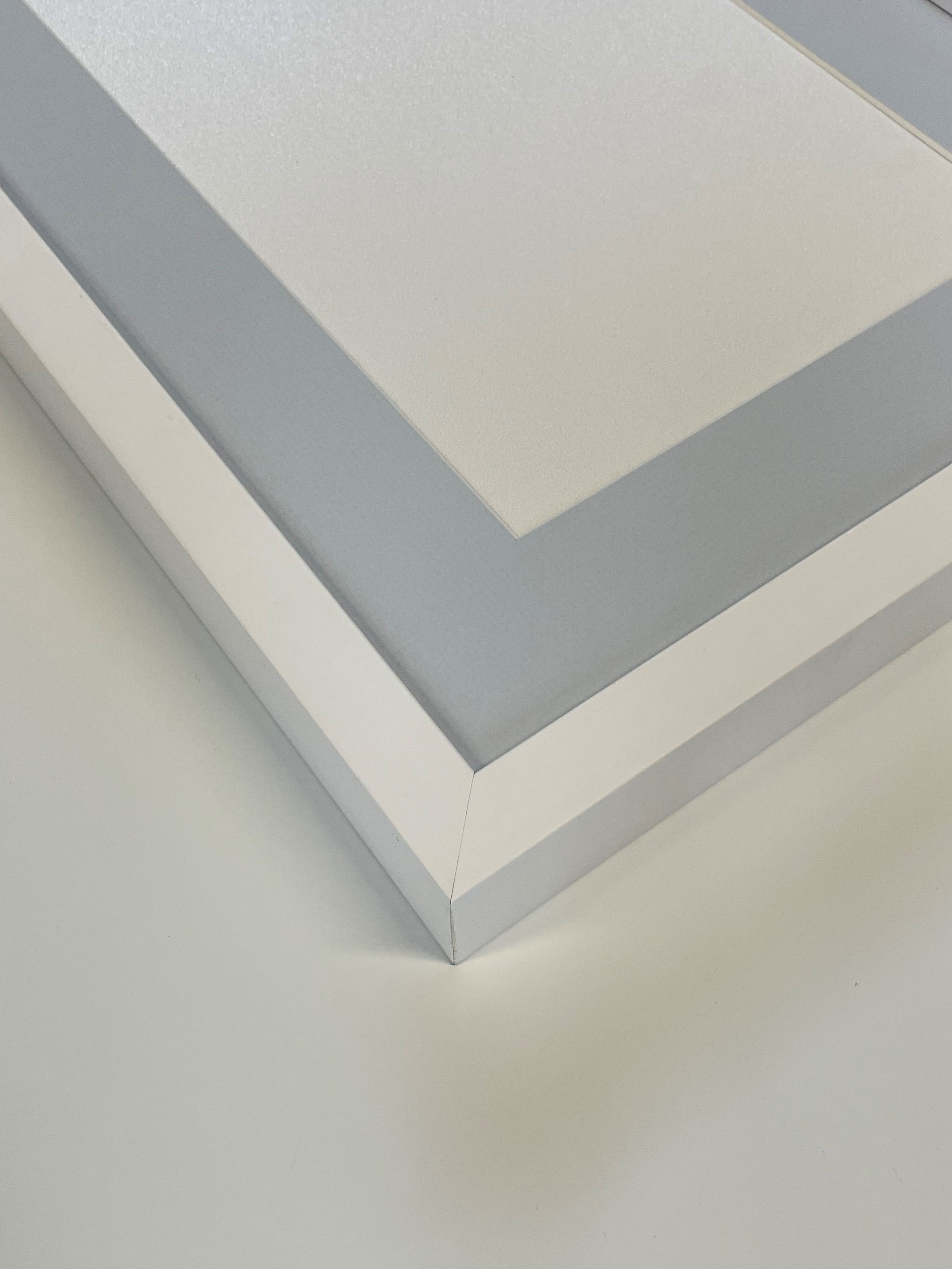 Muschel am traumhaften Karibikstrand